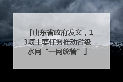 山东省政府发文，13项主要任务推动省级水网“一网统管”