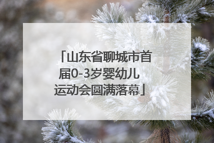 山东省聊城市首届0-3岁婴幼儿运动会圆满落幕