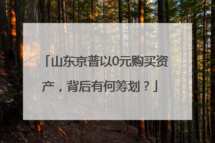 山东京普以0元购买资产，背后有何筹划？