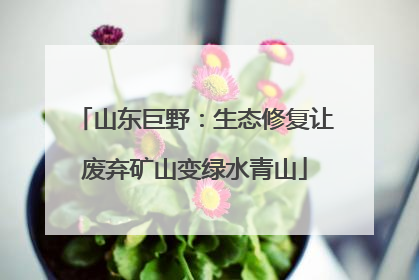 山东巨野：生态修复让废弃矿山变绿水青山