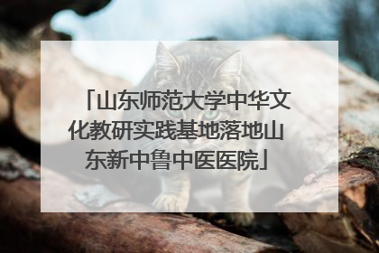 山东师范大学中华文化教研实践基地落地山东新中鲁中医医院