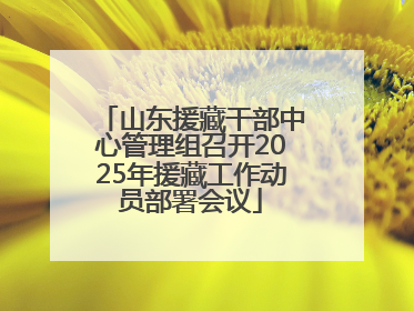 山东援藏干部中心管理组召开2025年援藏工作动员部署会议