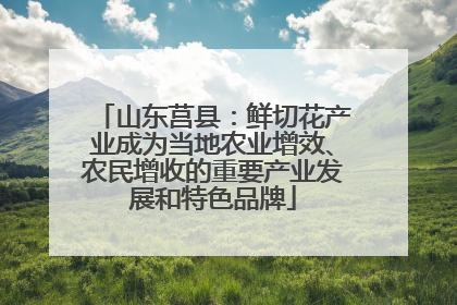 山东莒县：鲜切花产业成为当地农业增效、农民增收的重要产业发展和特色品牌