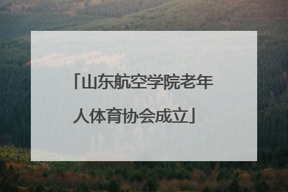 山东航空学院老年人体育协会成立