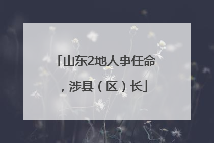 山东2地人事任命，涉县（区）长