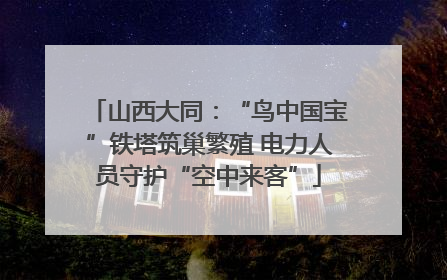 山西大同：“鸟中国宝”铁塔筑巢繁殖 电力人员守护“空中来客”