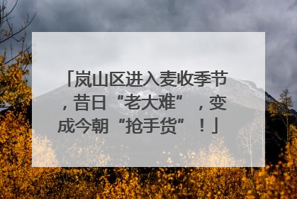 岚山区进入麦收季节，昔日“老大难”，变成今朝“抢手货”！
