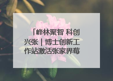 峰林聚智 科创兴张｜博士创新工作站激活张家界莓茶产业新动能