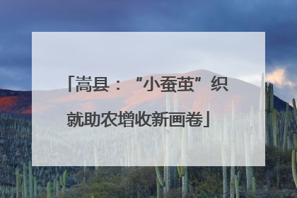 嵩县：“小蚕茧”织就助农增收新画卷