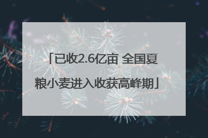 已收2.6亿亩 全国夏粮小麦进入收获高峰期