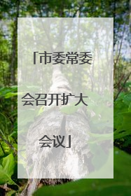 市委常委会召开扩大会议