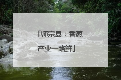 师宗县：香葱产业一路鲜