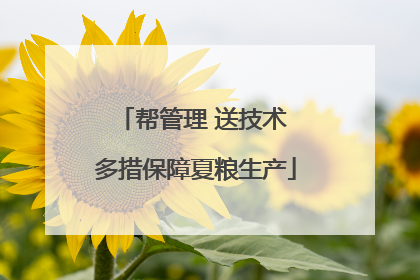 帮管理 送技术 多措保障夏粮生产