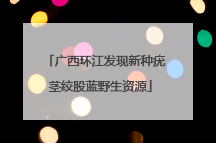 广西环江发现新种疣茎绞股蓝野生资源