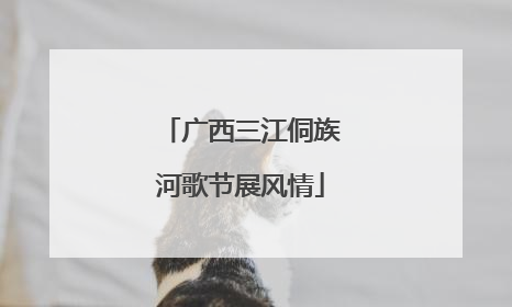 广西三江侗族河歌节展风情