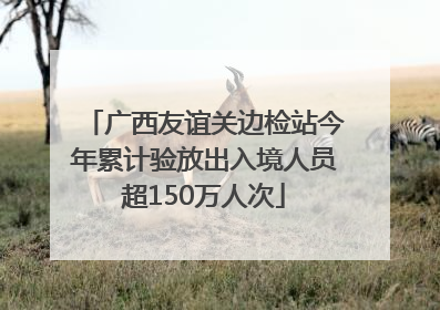 广西友谊关边检站今年累计验放出入境人员超150万人次