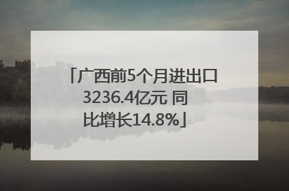 广西前5个月进出口3236.4亿元 同比增长14.8%