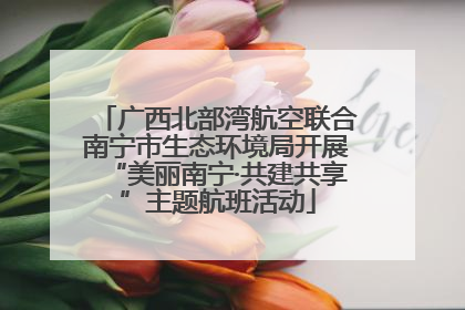 广西北部湾航空联合南宁市生态环境局开展“美丽南宁·共建共享”主题航班活动
