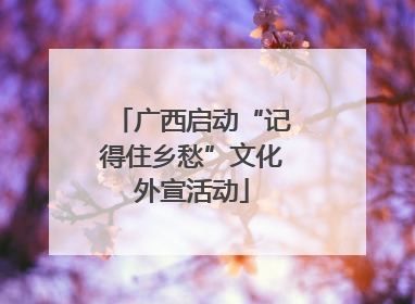 广西启动“记得住乡愁”文化外宣活动
