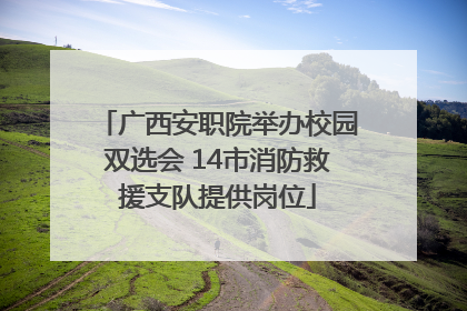 广西安职院举办校园双选会 14市消防救援支队提供岗位