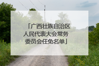 广西壮族自治区人民代表大会常务委员会任免名单