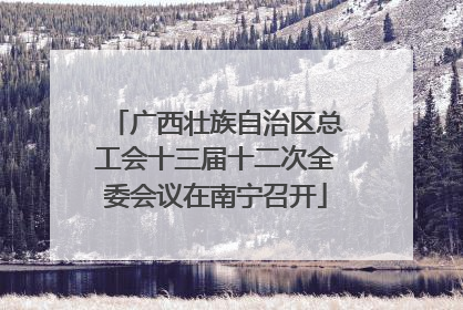 广西壮族自治区总工会十三届十二次全委会议在南宁召开
