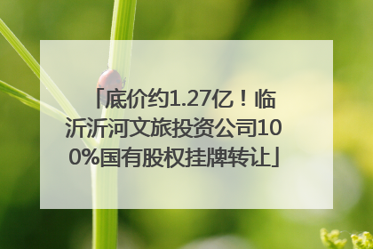 底价约1.27亿！临沂沂河文旅投资公司100%国有股权挂牌转让