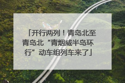 开行两列！青岛北至青岛北“青烟威半岛环行”动车组列车来了