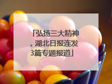 弘扬三大精神，湖北日报连发3篇专题报道