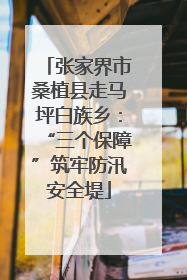 张家界市桑植县走马坪白族乡：“三个保障”筑牢防汛安全堤