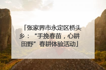 张家界市永定区桥头乡：“手挽春苗，心耕田野”春耕体验活动