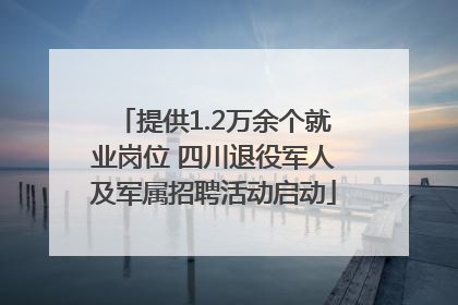 提供1.2万余个就业岗位 四川退役军人及军属招聘活动启动