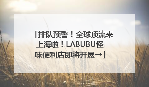 排队预警！全球顶流来上海啦！LABUBU怪味便利店即将开展→