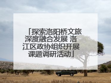 探索洛阳桥文旅深度融合发展 洛江区政协组织开展课题调研活动