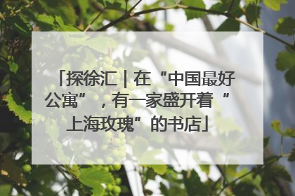 探徐汇｜在“中国最好公寓”，有一家盛开着“上海玫瑰”的书店