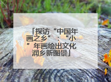 探访“中国年画之乡”：“小”年画绘出文化润乡新图景