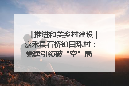 推进和美乡村建设｜嘉禾县石桥镇白珠村：党建引领破“空”局 乡贤聚力绘就新图景
