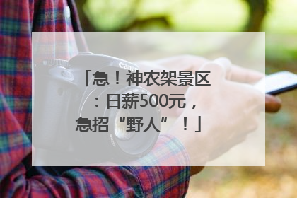 急！神农架景区：日薪500元，急招“野人”！