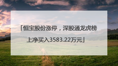 恒宝股份涨停，深股通龙虎榜上净买入3583.22万元