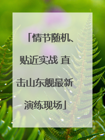 情节随机、贴近实战 直击山东舰最新演练现场