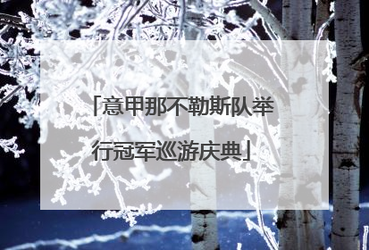 意甲那不勒斯队举行冠军巡游庆典