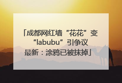 成都网红墙“花花”变“labubu”引争议 最新：涂鸦已被抹掉