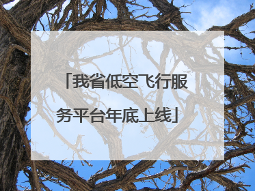 我省低空飞行服务平台年底上线