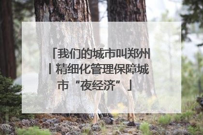 我们的城市叫郑州丨精细化管理保障城市“夜经济”