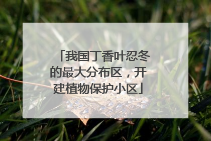 我国丁香叶忍冬的最大分布区，开建植物保护小区