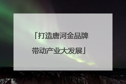 打造唐河金品牌 带动产业大发展