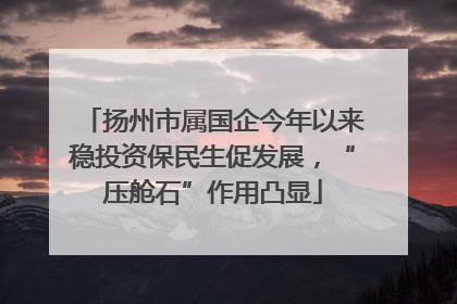 扬州市属国企今年以来稳投资保民生促发展，“压舱石”作用凸显