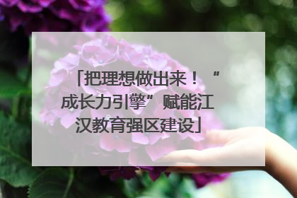 把理想做出来！“成长力引擎”赋能江汉教育强区建设