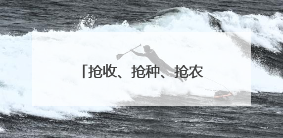 抢收、抢种、抢农时和好天气 从南到北各地多举措保障农业生产顺利进行