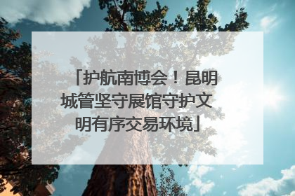 护航南博会！昆明城管坚守展馆守护文明有序交易环境